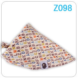 Z098