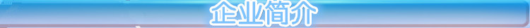 企业简介