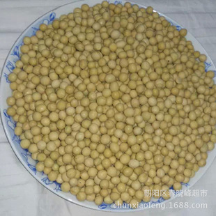 东北黄豆大豆