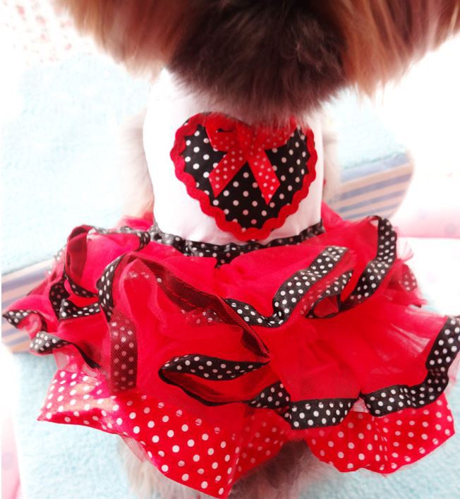 TB28xmuXVXXXXajXXXXXXXXXXXX-21