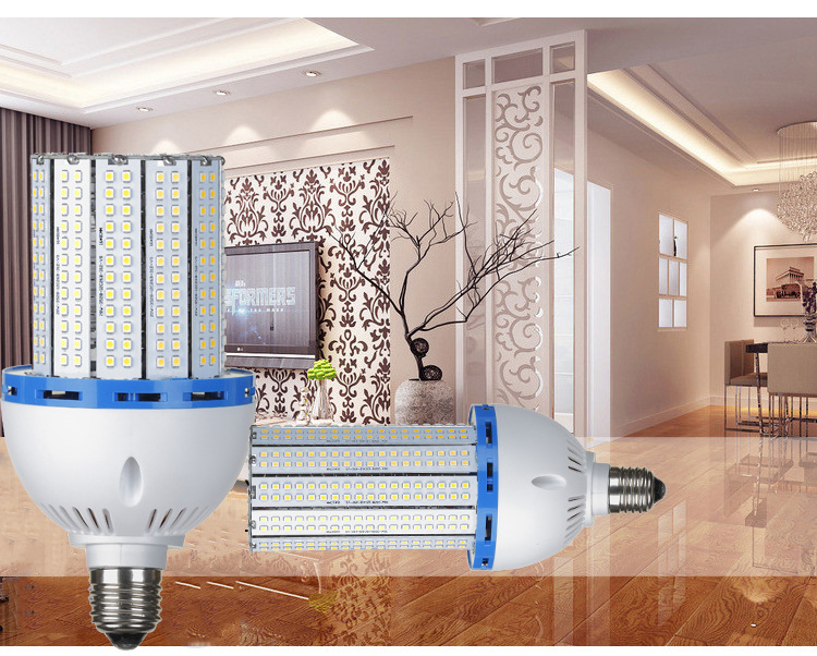 1681039965_1246019527副本