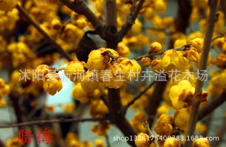 2345截图20140218100555_副本