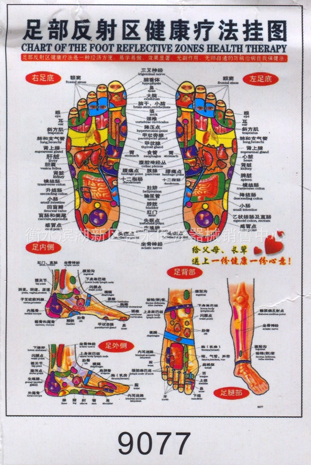 名称:足部反射区健康疗法挂图 材质:纸质双面复膜,普通厚度,可折叠