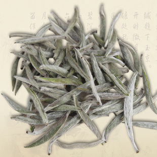 百寿芽特级福鼎白茶 白毫银针茶叶2015年新茶