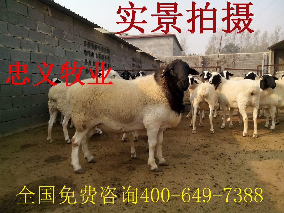 QQ图片20141109165934