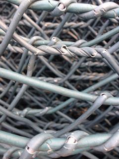 8d320243-2cc3-4004-8036-60d80d