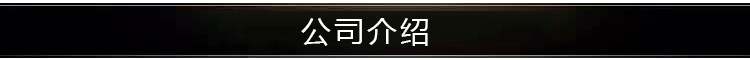 公司介绍