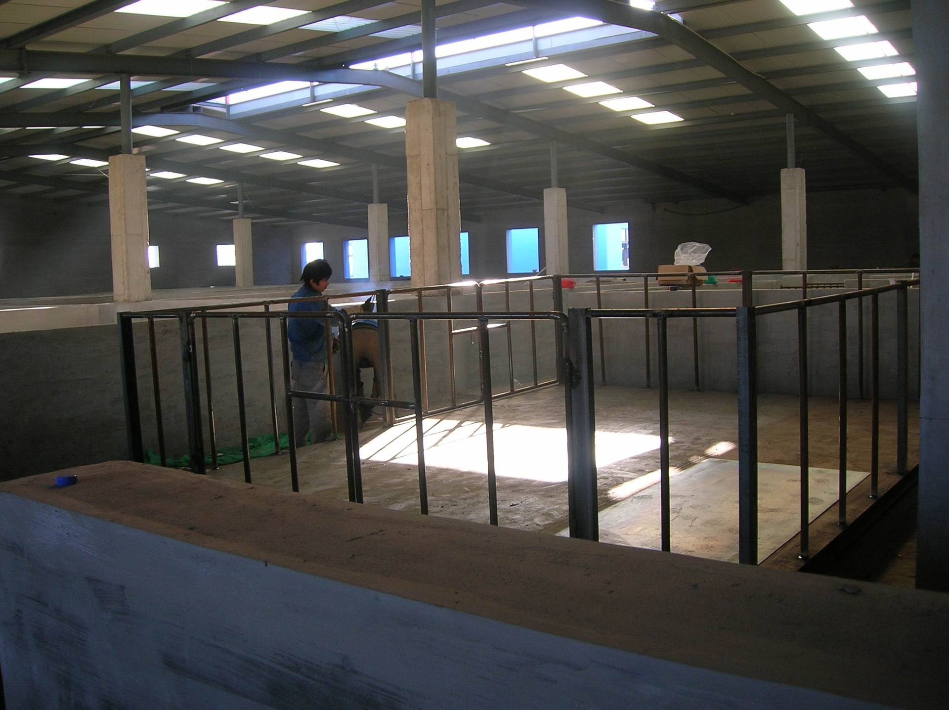 牲畜秤安装现? height=