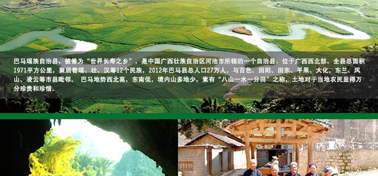 【特產(chǎn)批發(fā)】火麻香酥：世界長(zhǎng)壽鄉(xiāng)廣西特產(chǎn)禮品批發(fā)團(tuán)購(gòu)