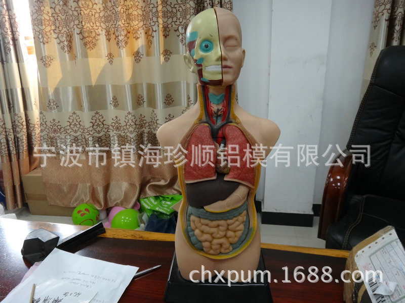 生产供应 精密人体器官pu发泡模具 耐用pu发泡模具