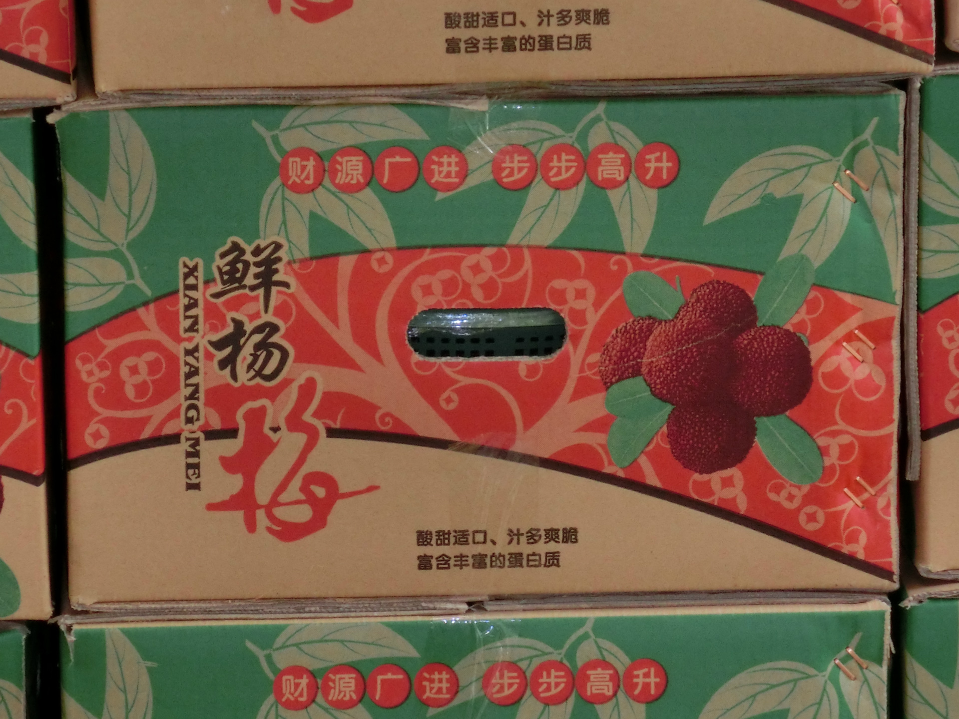 CIMG0051