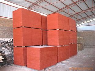 全国招商自产自销 建筑模板 防水型 多层木工板 胶合板