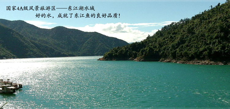 休闲零食毛毛鱼湖南特产 东江清水鱼 东江鱼 小鱼仔 香辣味30包