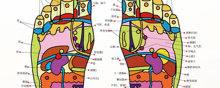 奔騰足浴盆PW702專業防乾燒防漏電足浴器振動按摩洗腳盆正品