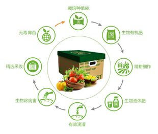 有机蔬菜礼盒