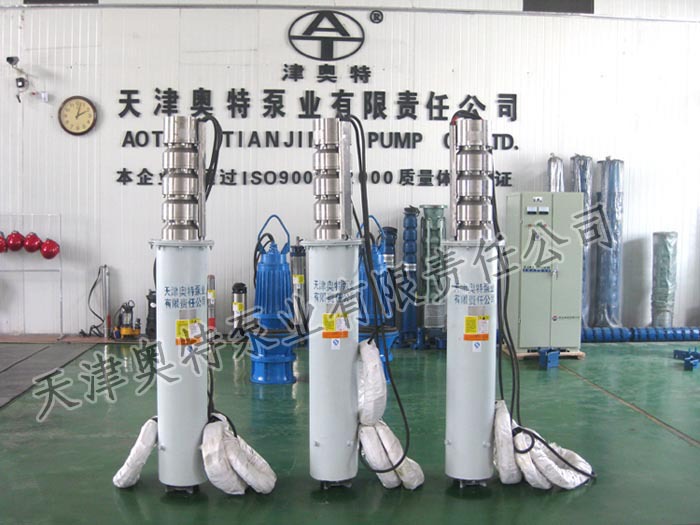 250QH海水泵(帶普通材質導流罩)