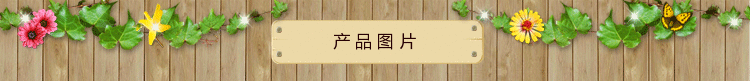 img (1)