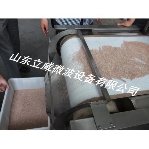 微波烘干设备1 (10)