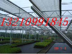 670452937_2135751439_jpg_middl