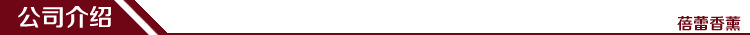 公司介绍