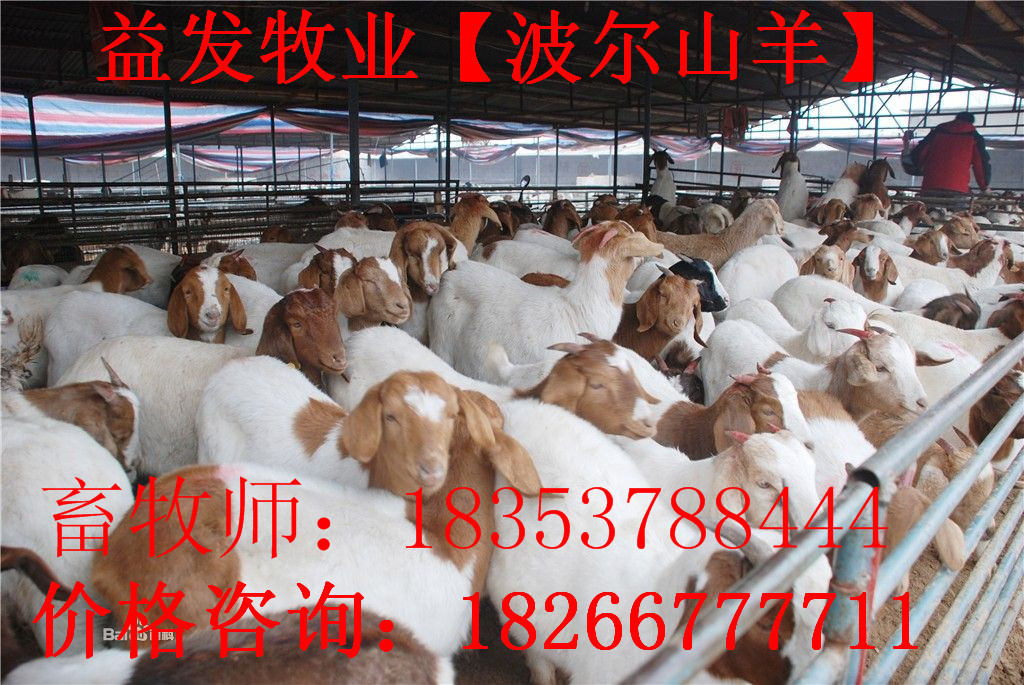 e6cd7a891549