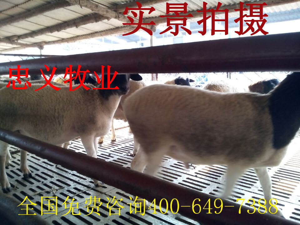 QQ图片20141109170043