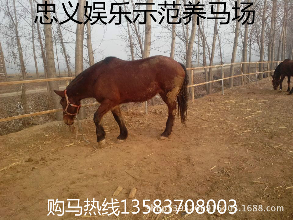 wifi0s0306340741IMG_20140222_0