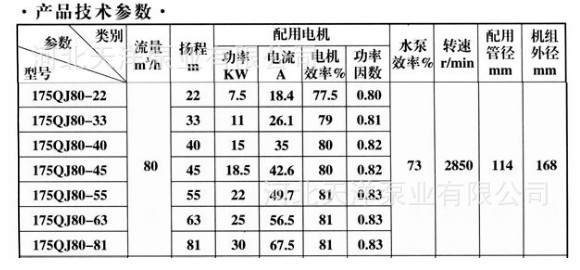 175QJ系列80吨流量产品技术参数