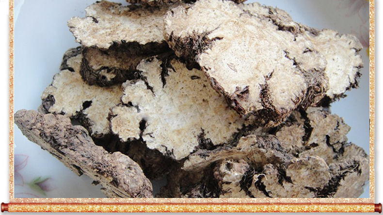 (图)-植物原药材尽在阿里巴巴-安国市泰瑞达中