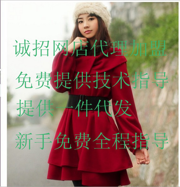 品牌<em>韩版 女装 免费代理</em>加盟 数据包免费下载 韩