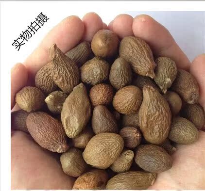 直销:胖大海清肺润肺茶 特级胖大海 胖大海茶 清