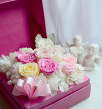 荷兰鲜花进口_荷兰鲜花进口批发_荷兰鲜花进