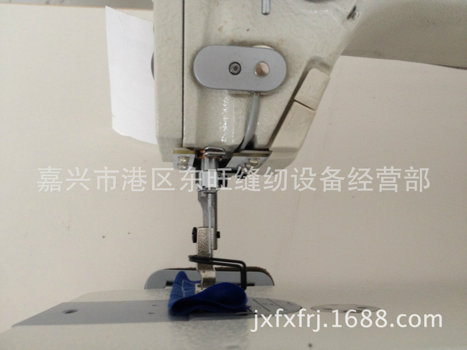 照片 2365