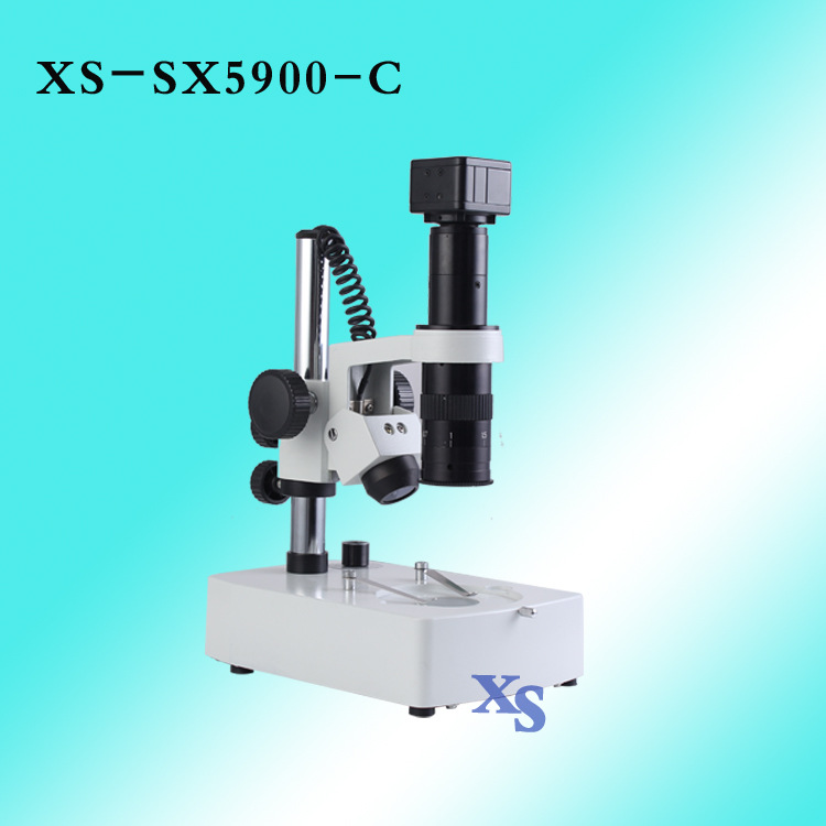 SX5900-C-2