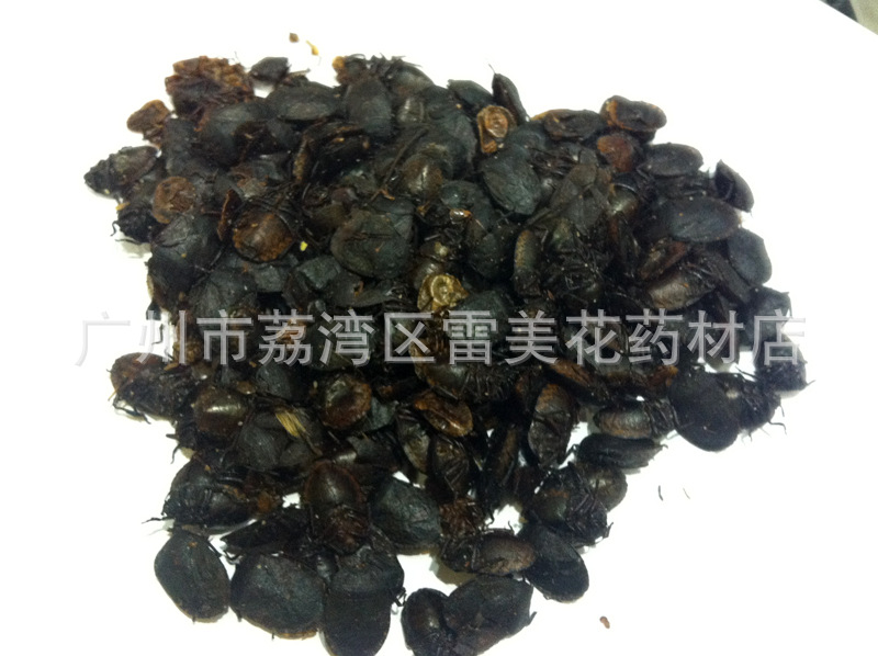 批发动物原药材 高品质无加重 九香虫 黑色甲壳虫 昆虫类