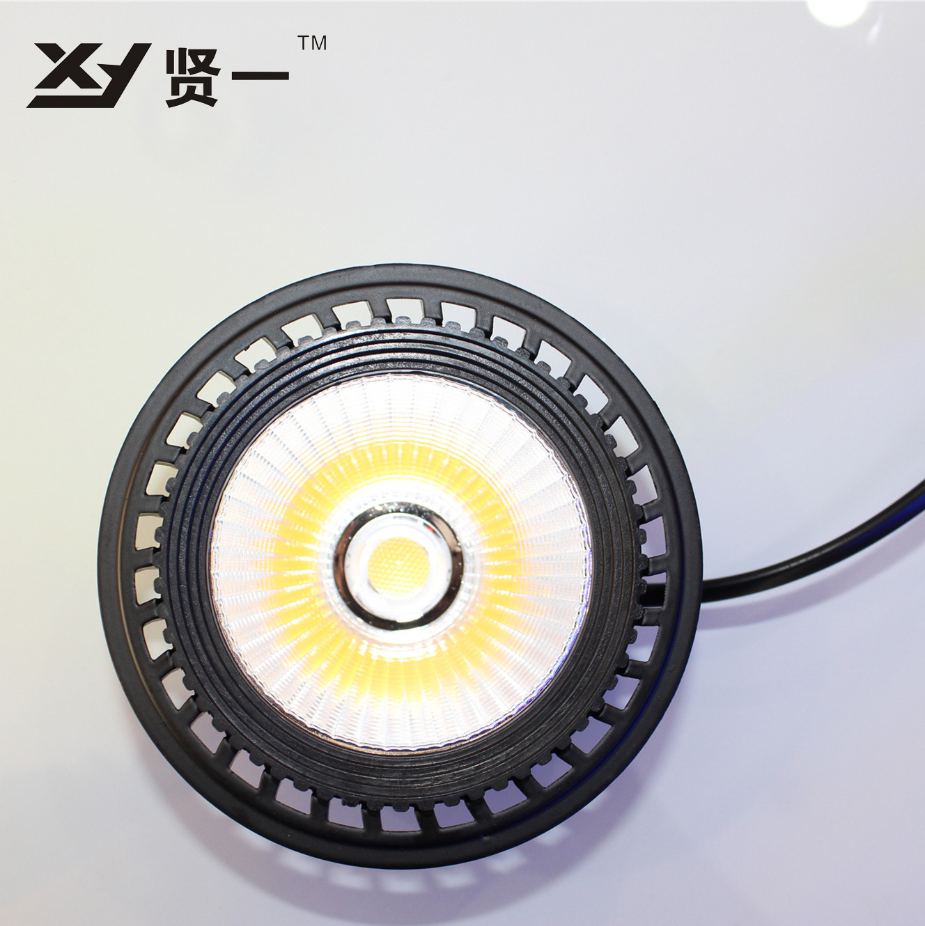 LED斗胆灯 LED斗胆灯内胆 15W  高品质 正品保障 厂家直销