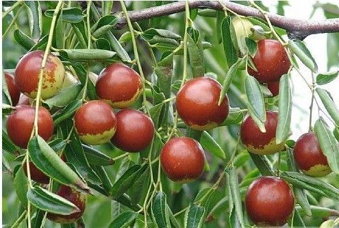 QQ截图20140108163959