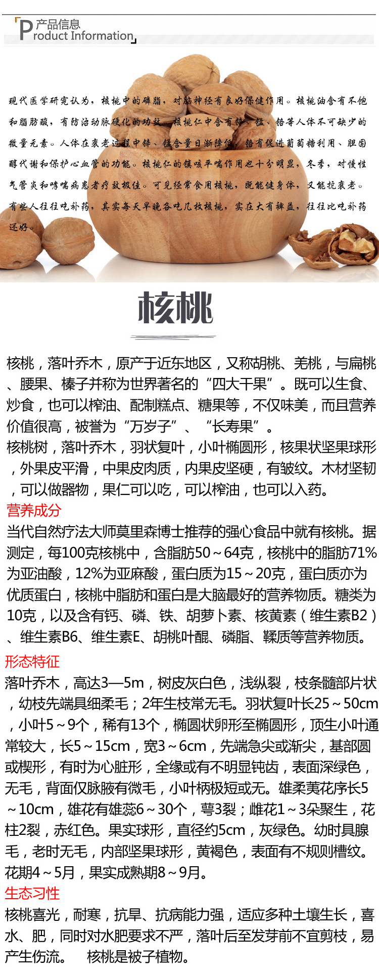 果树-核桃树苗 批发果树苗木嫁接苗 当年结果-