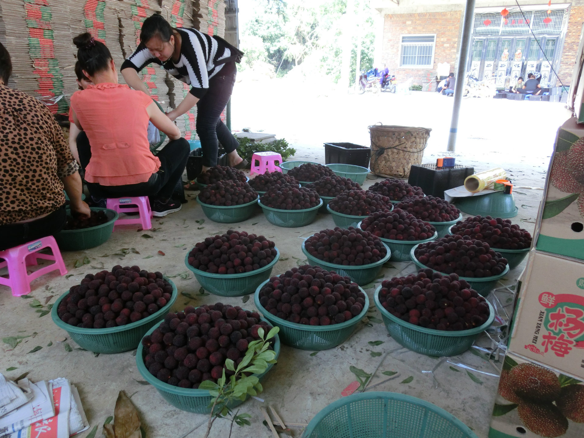 CIMG0044