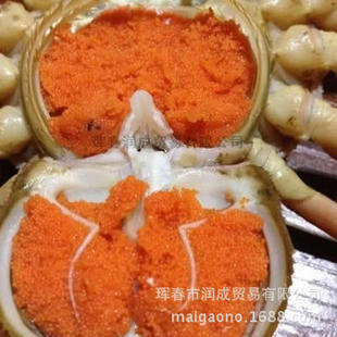 蟹类-海鲜批发 朝鲜籽蟹 籽蟹 籽蟹批发 供应朝鲜籽蟹 鲜活海鲜-蟹类尽在阿里巴