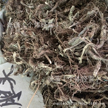 地胆头_地胆头批发_地胆头供应