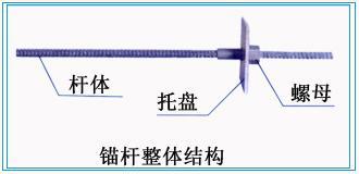 錨桿整體結構