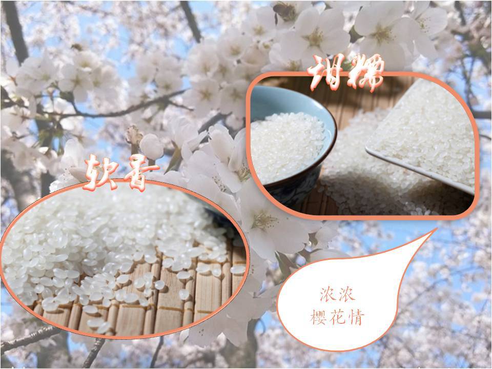 幻灯�?