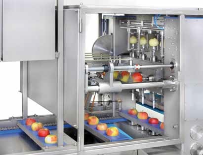 果蔬加工设备-全自动苹果去皮机报价,进口去皮