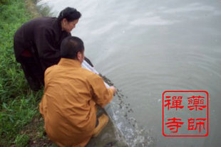 其他网络服务-随喜药师寺 斋戒日(最近为5月7)