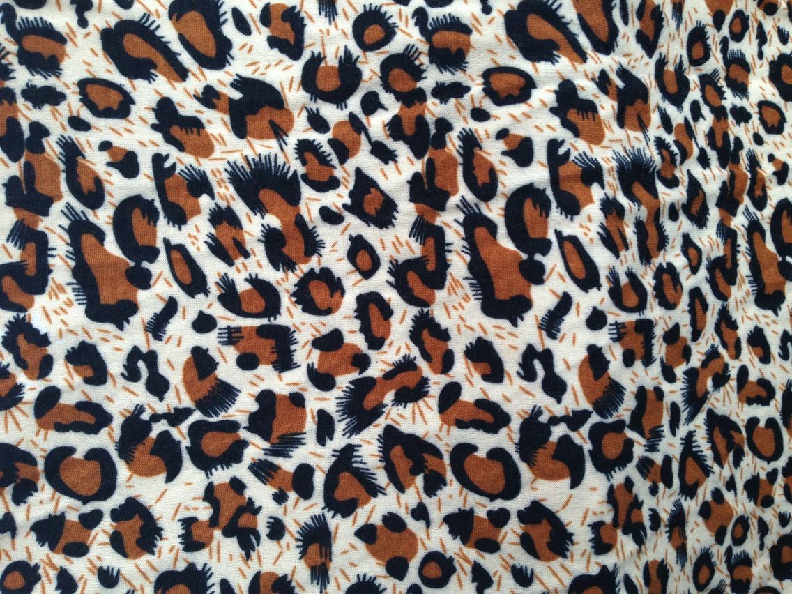 QQ圖片20141212134843