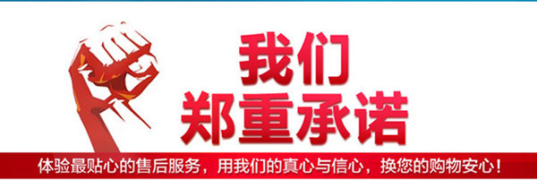 承诺