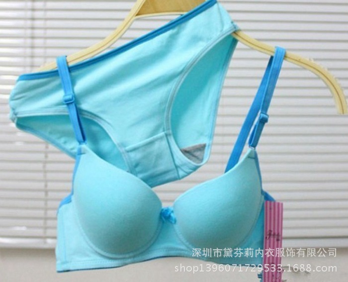 <em>文胸</em>-1090 淘宝热销新品棉质时尚内衣 <em>文胸套</em>