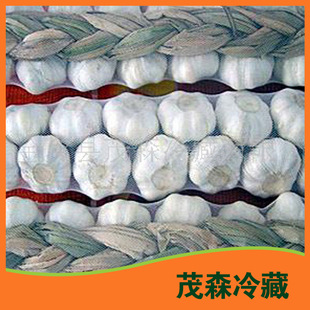 蒜-大批量代收 金乡优质出口级保鲜大蒜 价格便
