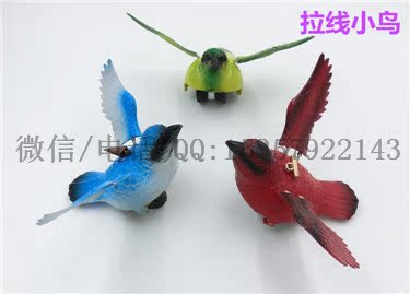 CIMG2598